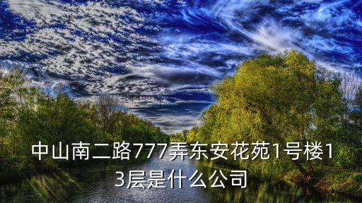 中山南二路777弄東安花苑1號樓13層是什么公司
