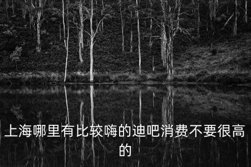 上海市酒吧迪吧，上海哪里有比較嗨的迪吧消費不要很高的