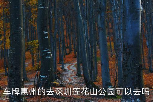 車牌惠州的去深圳蓮花山公園可以去嗎