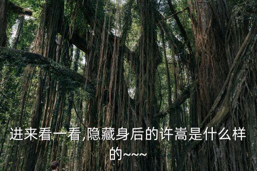進來看一看,隱藏身后的許嵩是什么樣的~~~