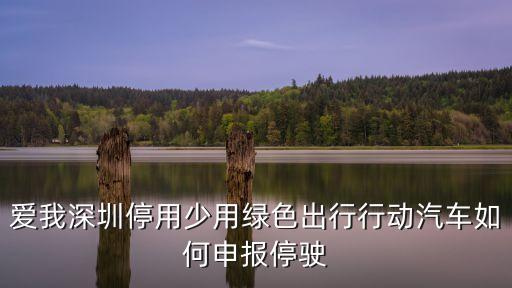 綠色出行深圳交警，在深圳選擇登記了綠色出行但是當天又出車了怎么處理