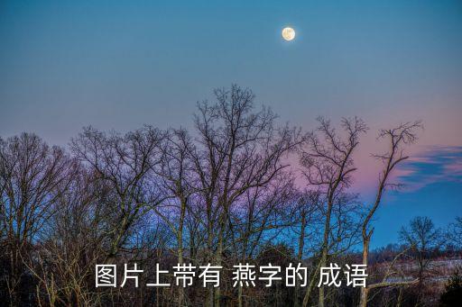 燕字成語,含燕字的四字成語有哪些
