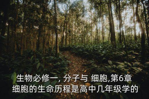 生物必修一, 分子與 細胞,第6章 細胞的生命歷程是高中幾年級學(xué)的