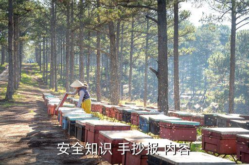 校園安全手抄報內容
