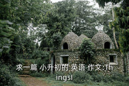 小升初英語作文,小升初中入學(xué)測(cè)試作文a文件有問題!