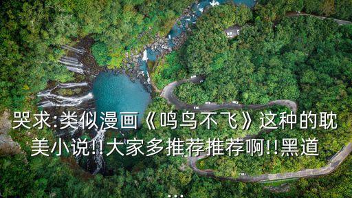 哭求:類似漫畫《鳴鳥不飛》這種的耽美小說!!大家多推薦推薦啊!!黑道...