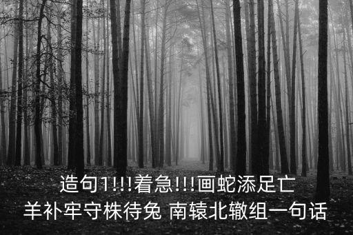  造句1!!!著急!!!畫(huà)蛇添足亡羊補(bǔ)牢守株待兔 南轅北轍組一句話(huà)
