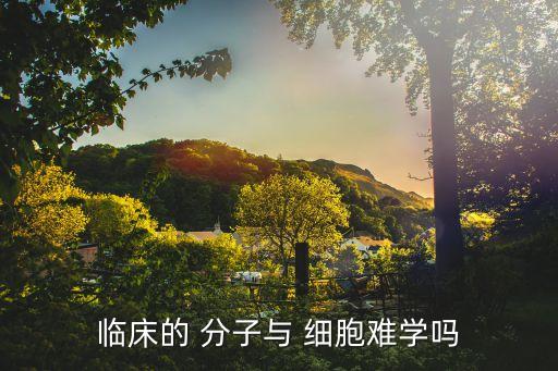 分子與細(xì)胞,高中生物必修一知識(shí)框架