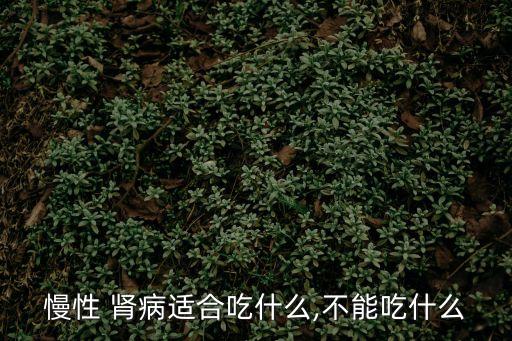慢性 腎病適合吃什么,不能吃什么