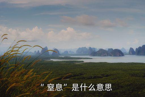 窒息的意思,知悉的意思