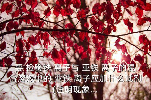要 檢驗鐵 離子與 亞鐵 離子的混合溶液中的 亞鐵 離子應加什么試劑(注明現(xiàn)象...