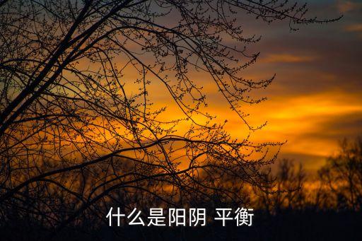 什么是陽陰 平衡