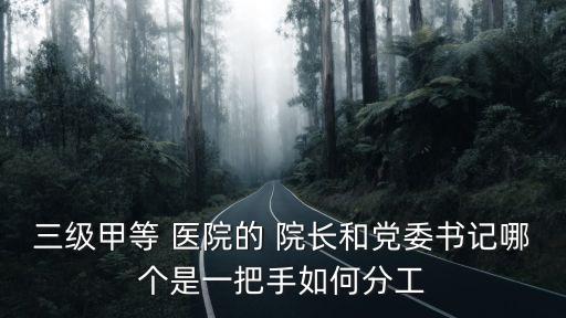 三級甲等 醫院的 院長和黨委書記哪個是一把手如何分工