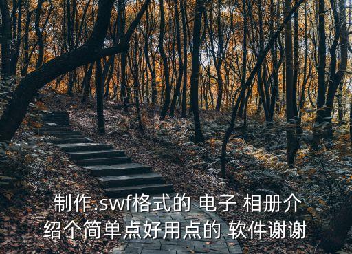  制作.swf格式的 電子 相冊介紹個簡單點好用點的 軟件謝謝