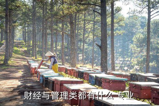 財經類專業,財經類最吃香的專業是什么?