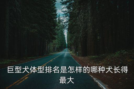 巨型犬體型排名是怎樣的哪種犬長得最大