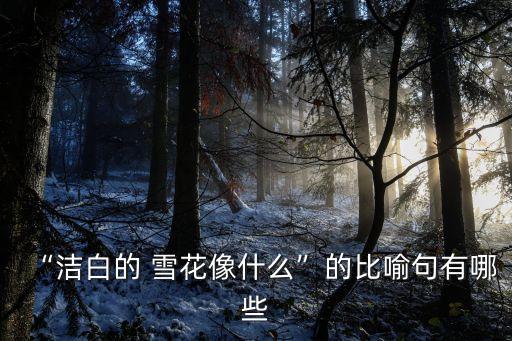 “潔白的 雪花像什么”的比喻句有哪些