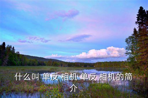 什么叫單反相機,這些單反相機是怎么回事?