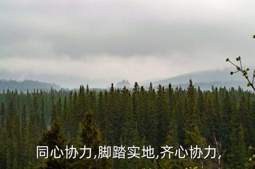  同心協力,腳踏實地,齊心協力,