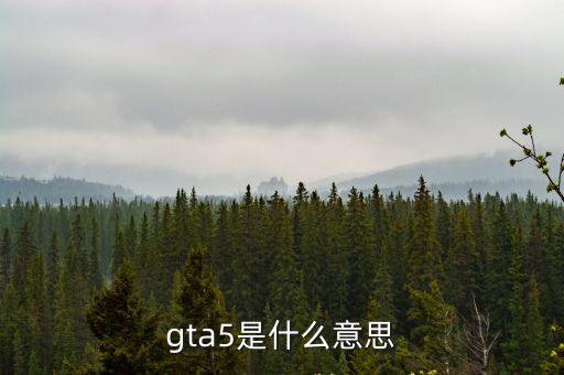 gta5是什么意思