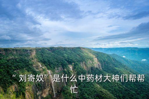 北劉寄奴