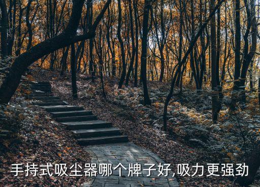 手持式吸塵器哪個牌子好,吸力更強勁