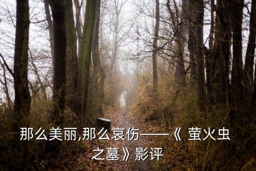 那么美麗,那么哀傷——《 螢火蟲 之墓》影評