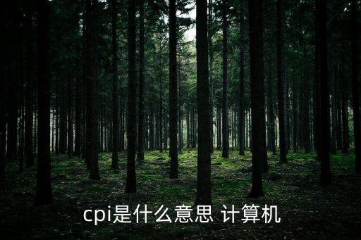 cpi計算機(jī),CPI計算機(jī)體系結(jié)構(gòu)