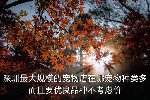 深圳最大規模的寵物店在哪寵物種類多而且要優良品種不考慮價