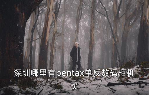 深圳哪里有pentax單反數(shù)碼相機(jī)買