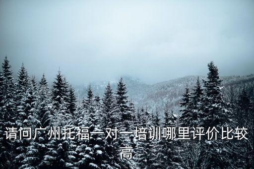 請問廣州托福一對一培訓哪里評價比較高