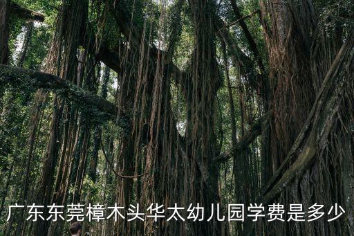 廣東東莞樟木頭華太幼兒園學費是多少