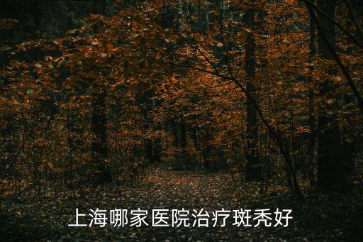 上海市皮膚病醫院斑禿，上海最好的皮膚病醫院哪家醫院治療斑禿有效果