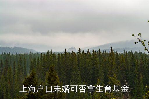 上海市常住戶口管理規定 非婚生，上海戶口非獨生子女結婚后可以生二胎嗎