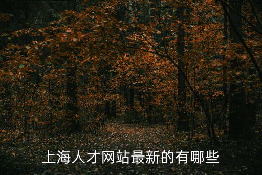 上海市人事人才考試官網(wǎng)，上海人才網(wǎng)網(wǎng)址多少來著要手機(jī)版的謝了