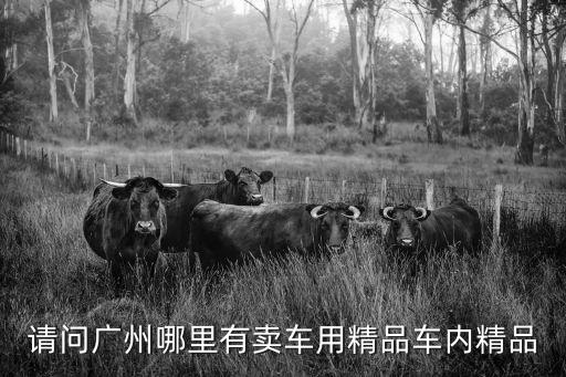 廣州車載精品內(nèi)飾，請問廣州哪里有賣車用精品車內(nèi)精品