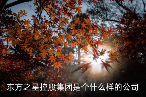 東方之星控股集團是個什么樣的公司