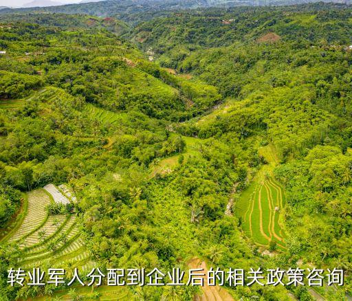 上海市轉業安置進企業，上海轉業政策的問題
