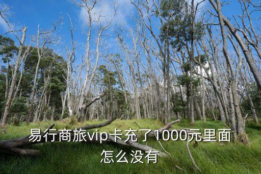 深圳易行商旅，易行商旅vip卡充了1000元里面怎么沒有