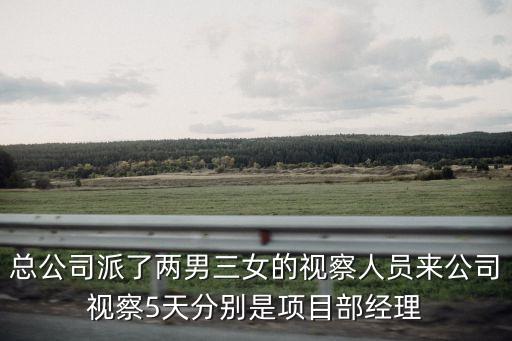 東莞毅進貿易有限責任公司，總公司派了兩男三女的視察人員來公司視察5天分別是項目部經理