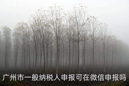 廣州市一般納稅人申報可在微信申報嗎