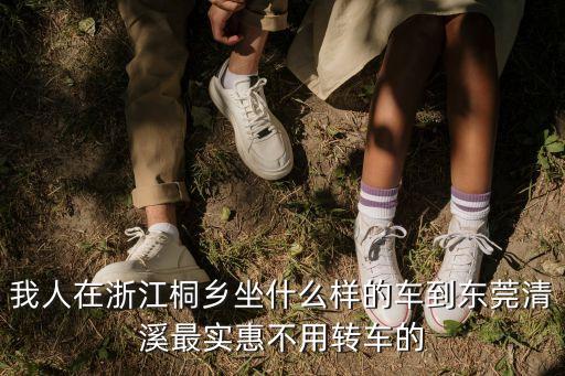 桐鄉去東莞怎么去劃算，我人在浙江桐鄉坐什么樣的車到東莞清溪最實惠不用轉車的