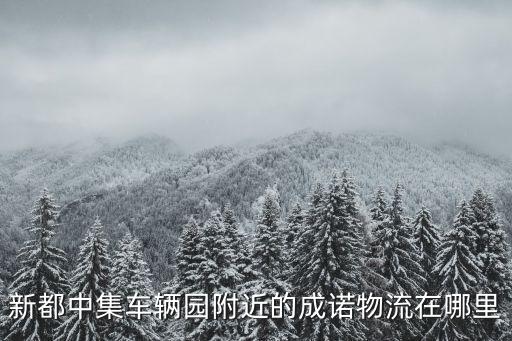 新都中集車輛園附近的成諾物流在哪里