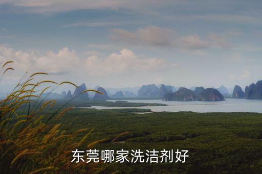 東莞工業環保清洗劑廠家，德豐消泡劑是東莞唯一的工業清洗消泡劑廠商嗎