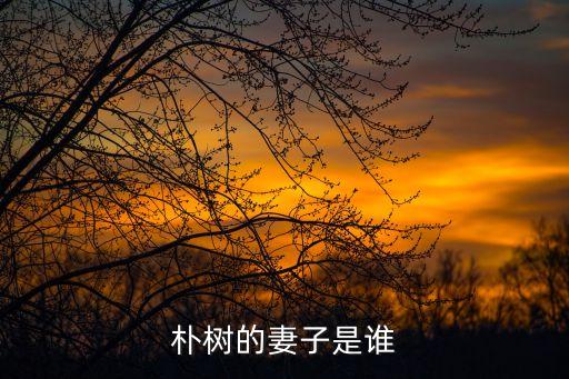 樸樹廣州女友，樸樹的妻子是誰