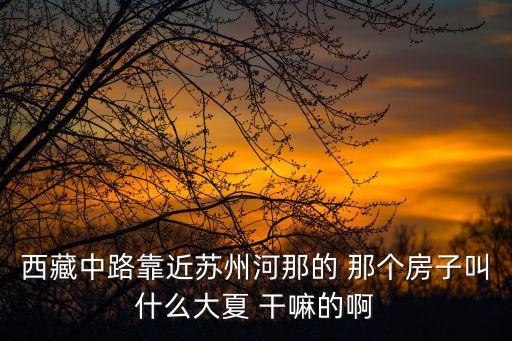 西藏中路靠近蘇州河那的 那個房子叫什么大夏 干嘛的啊