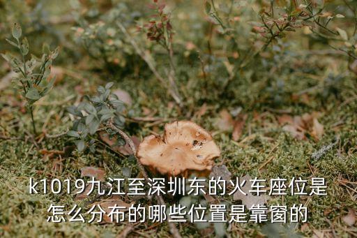 九江至深圳東火車，火車L24深圳九江