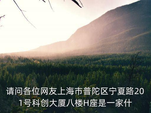 請問各位網(wǎng)友上海市普陀區(qū)寧夏路201號科創(chuàng)大廈八樓H座是一家什