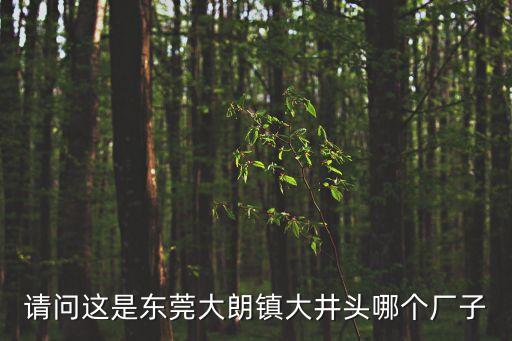 請問這是東莞大朗鎮(zhèn)大井頭哪個(gè)廠子