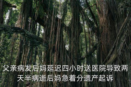 父親病發(fā)后媽延遲四小時送醫(yī)院導(dǎo)致兩天半病逝后媽急著分遺產(chǎn)起訴
